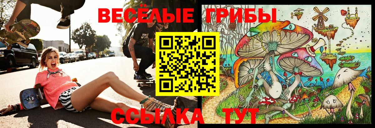Галлюциногенные грибы Cubensis Богородск